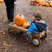Pumpkin Wagon by sarahsthreads