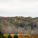 Autumn Landscape by rminer