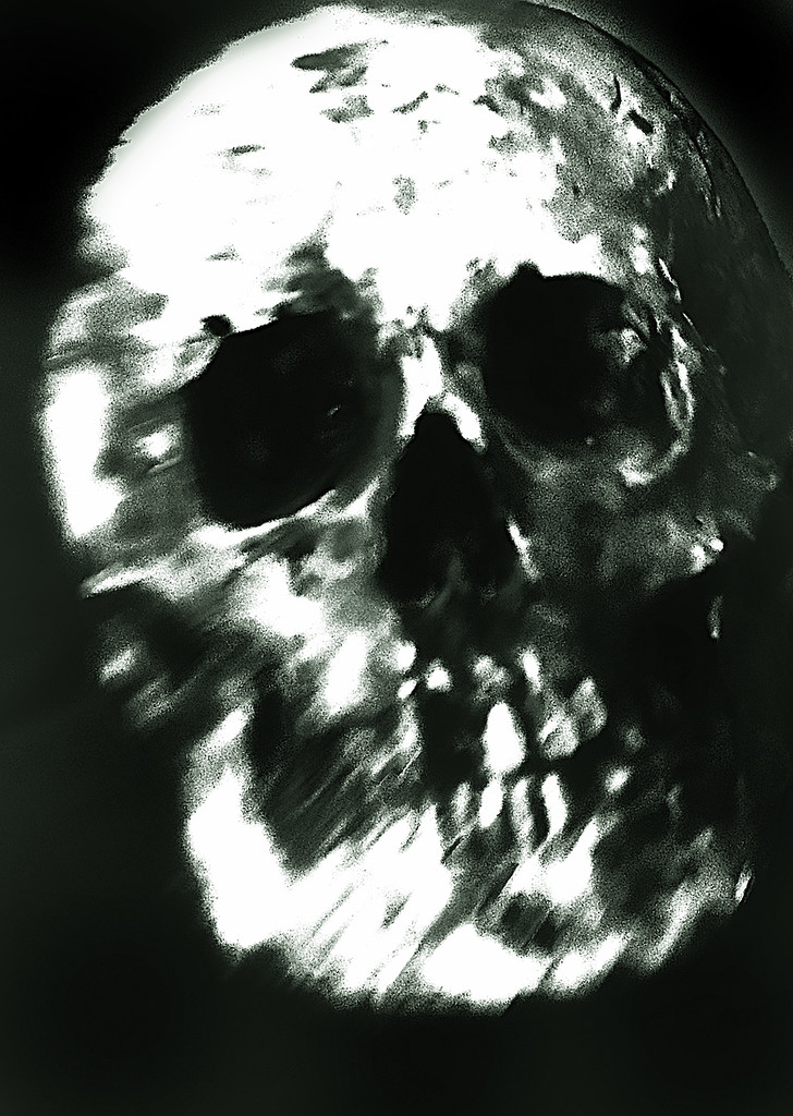 Skull by davidrobinson