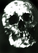 28th Oct 2016 - Skull