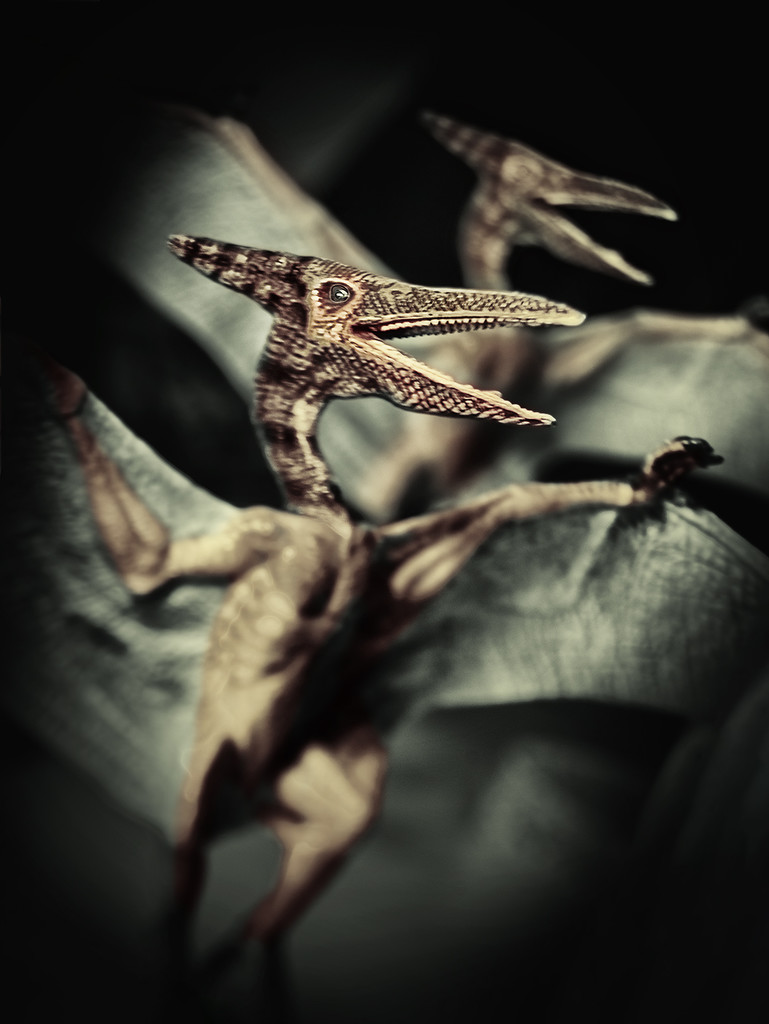 Pteranodon Nightmare by davidrobinson