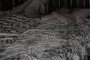 29th Oct 2016 - Ghost on the bed