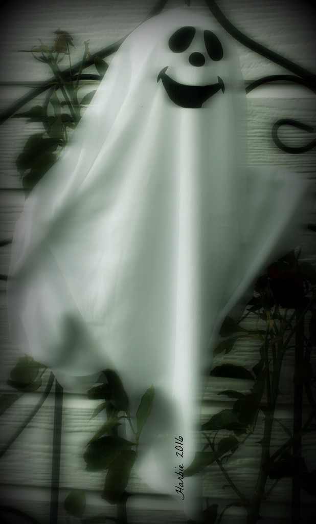 Ghostly Visitor by harbie