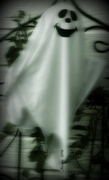 30th Oct 2016 - Ghostly Visitor