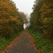 Foggy Autumn Walk by gillian1912