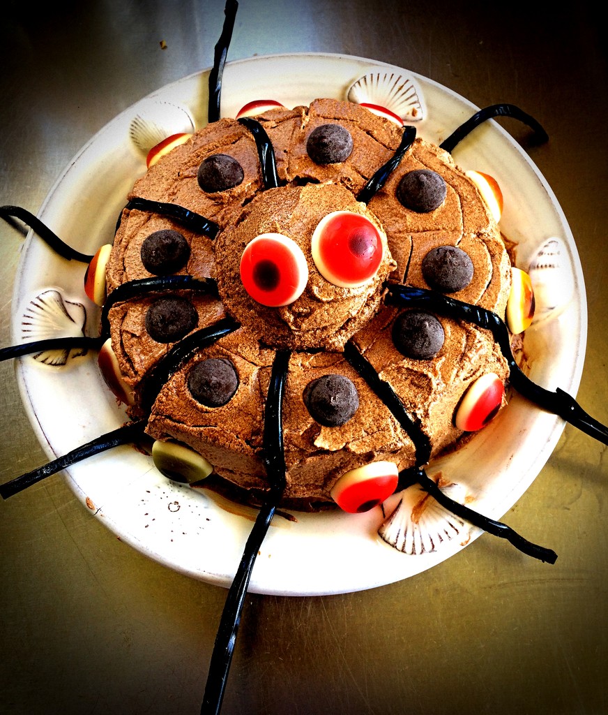 Halloween Spider birthday cake by kiwinanna