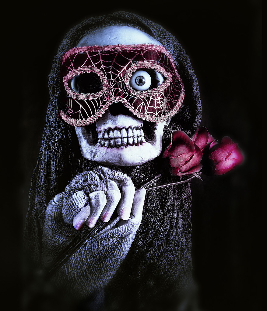 Dead Eye Rose by davidrobinson