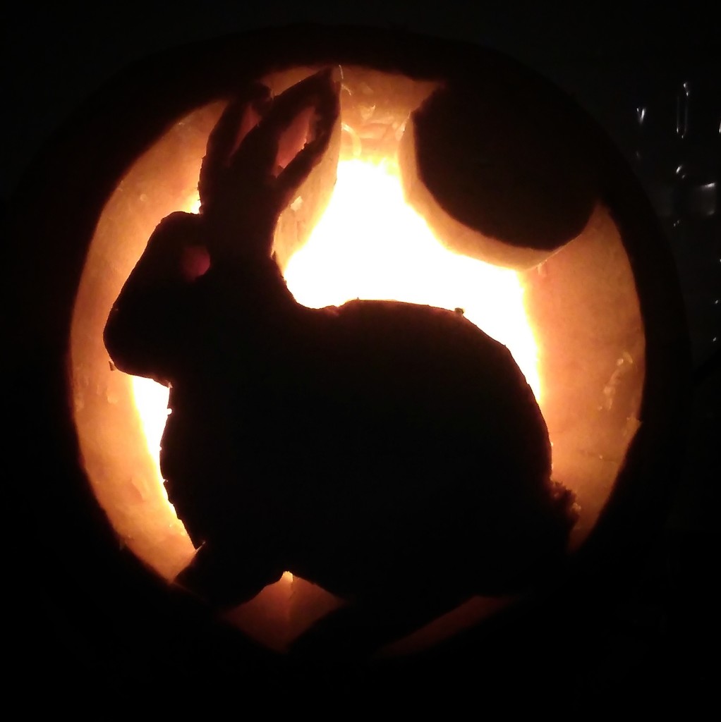 Rabbit pumpkin by richardcreese