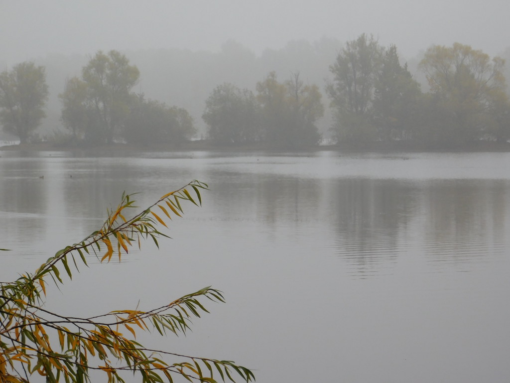  Misty morning on the lake by 365anne