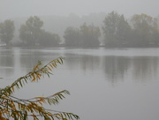 1st Nov 2016 -  Misty morning on the lake