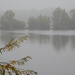  Misty morning on the lake by 365anne