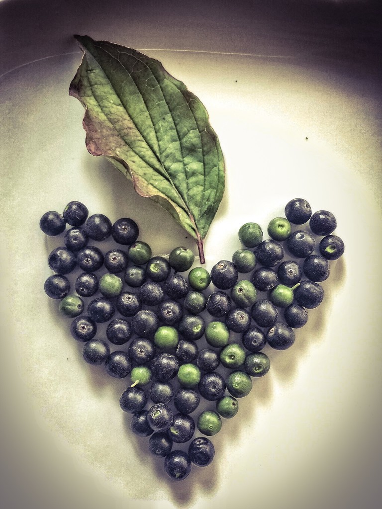 Berries Heart.  by cocobella