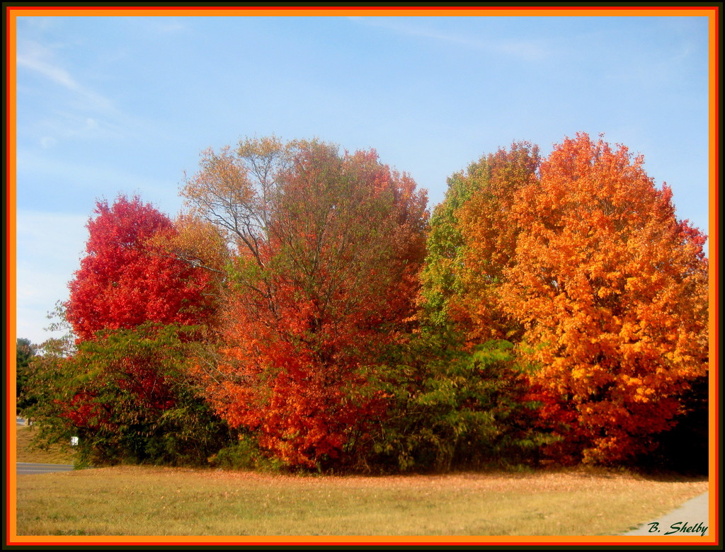 More Fall Color by vernabeth