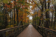 1st Nov 2016 - A Walk on the Bridge 3