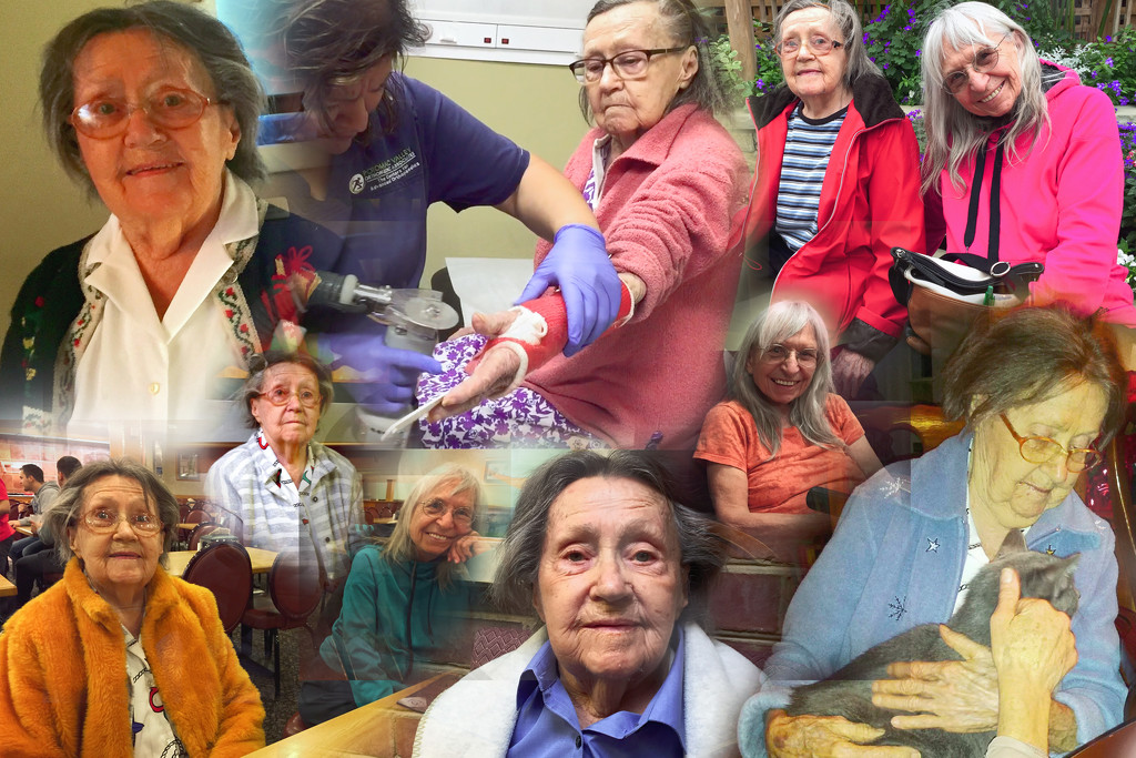 Collage for Elfriede's 95th Birthday by jbritt