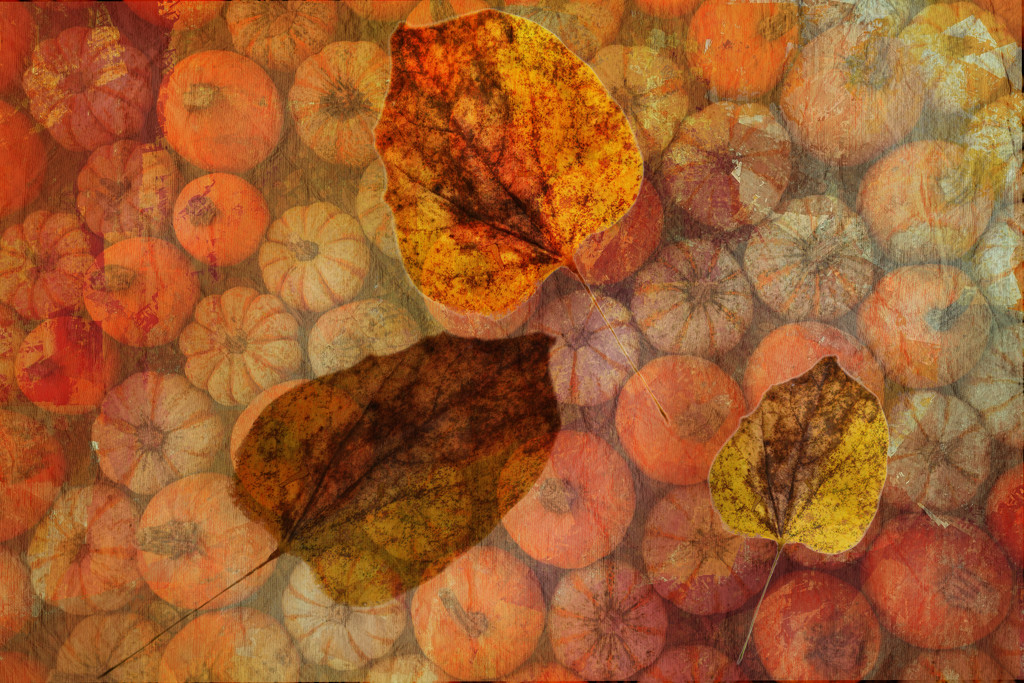 Autumn play with layers by jbritt