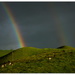 Under  the Rainbow... by julzmaioro