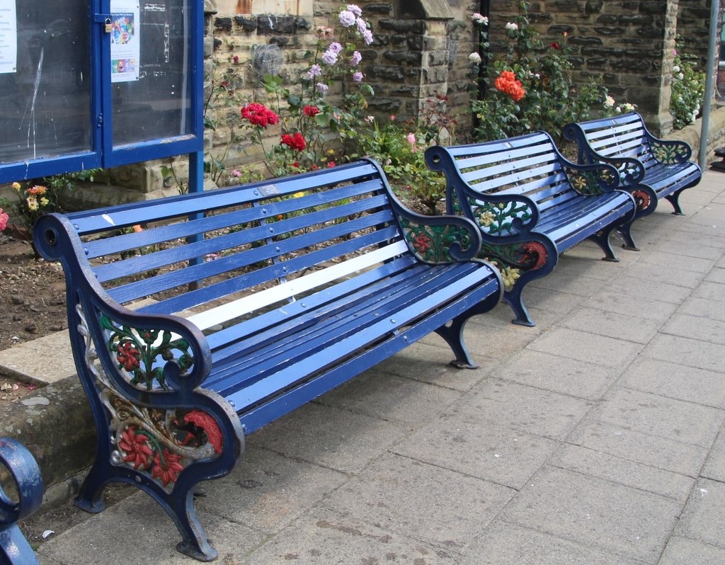   Colourful Flowers - Filey by oldjosh