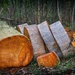 Cut log by gosia
