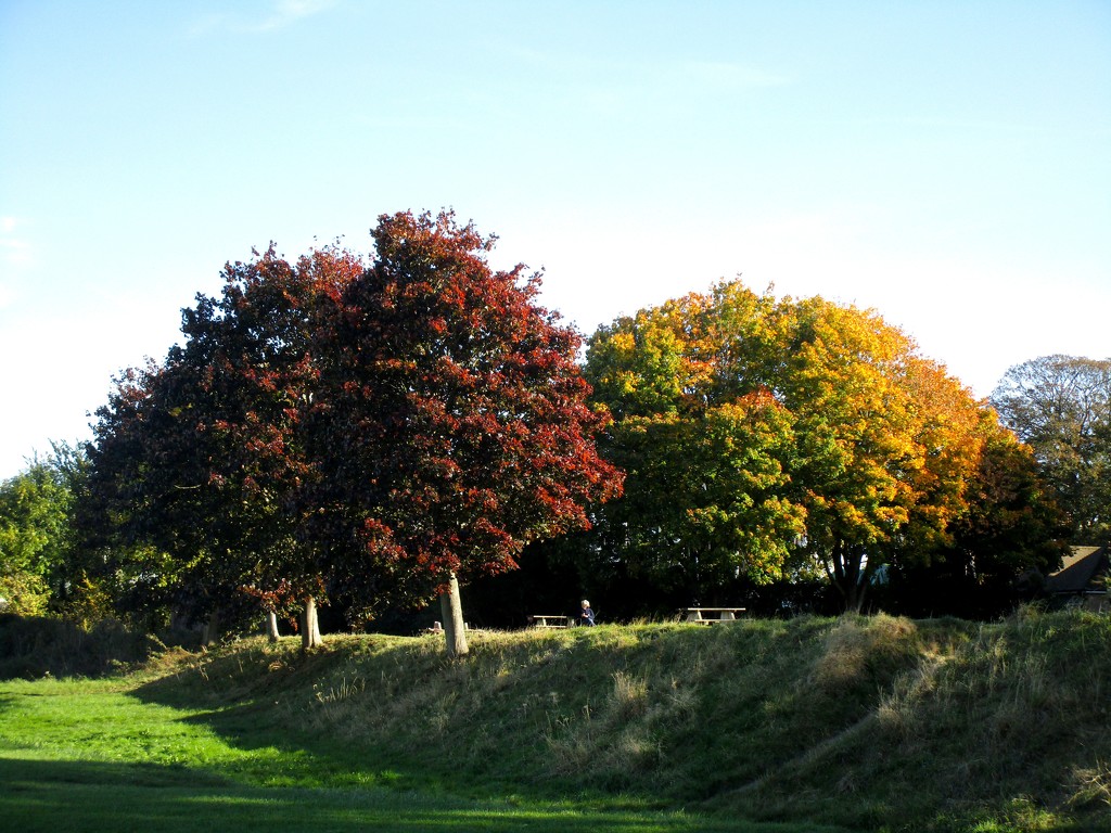 Still Autumn by davemockford