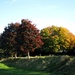 Still Autumn by davemockford