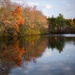 Hackett's Pond Orange by berelaxed