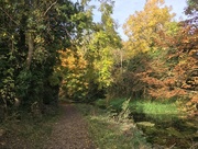 31st Oct 2016 - Autumnal Canal