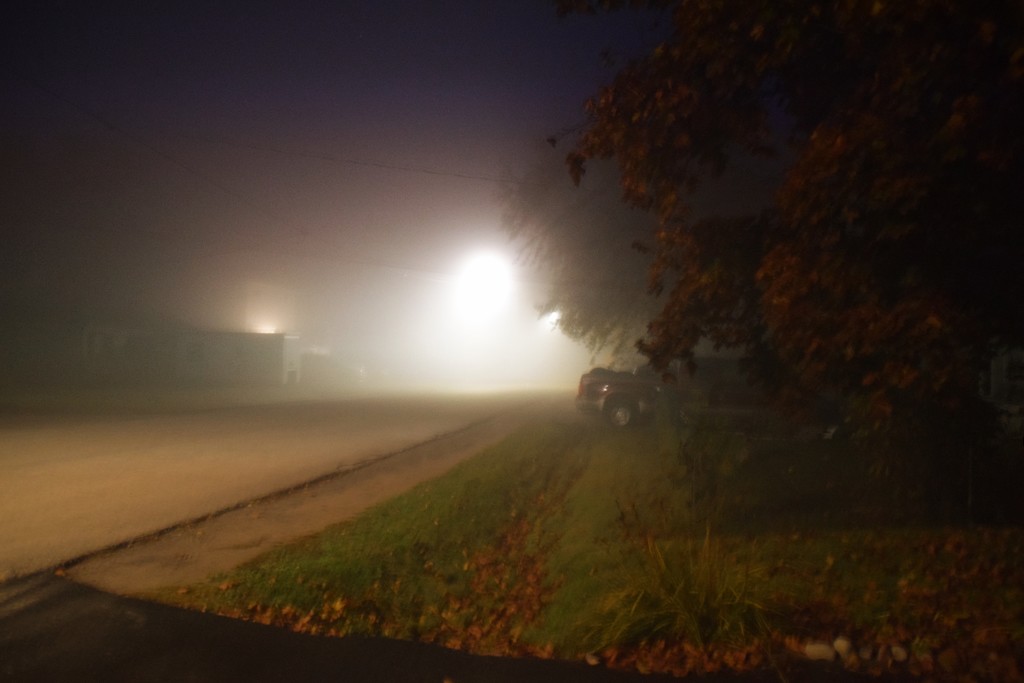 A foggy morning by bruni