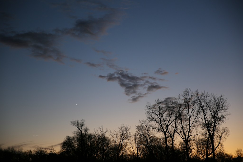 the moon... by earthbeone