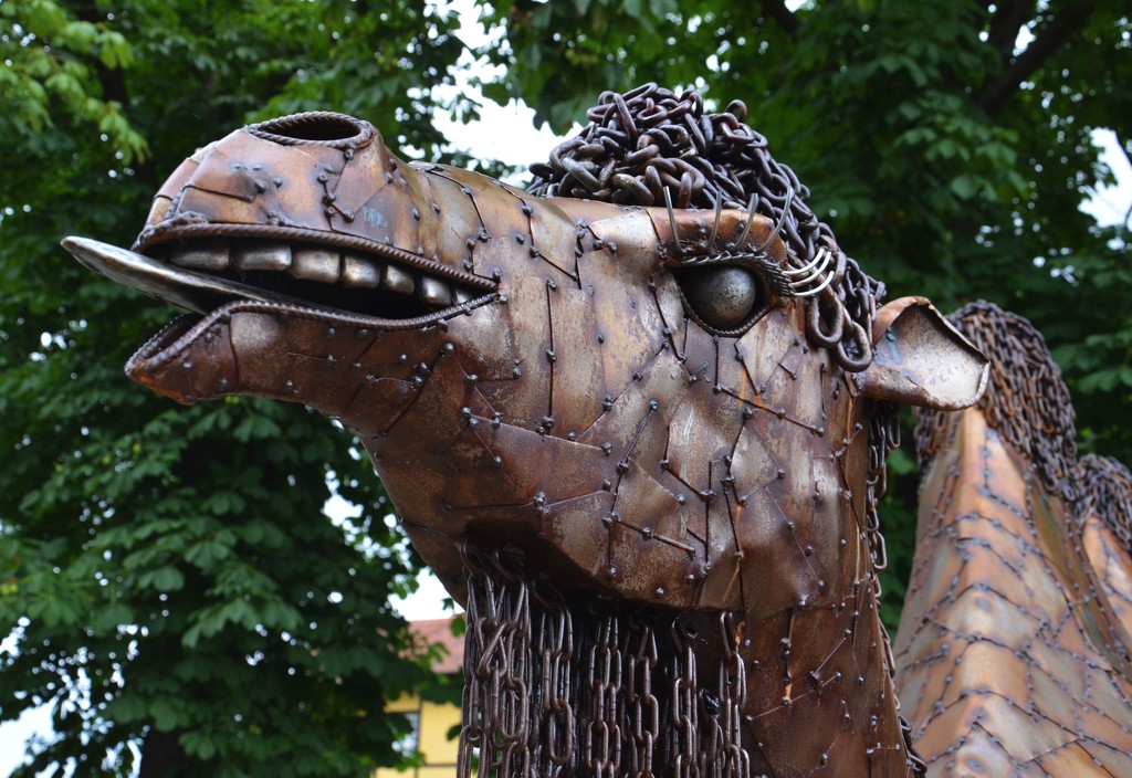 Iron-camel by ivanc