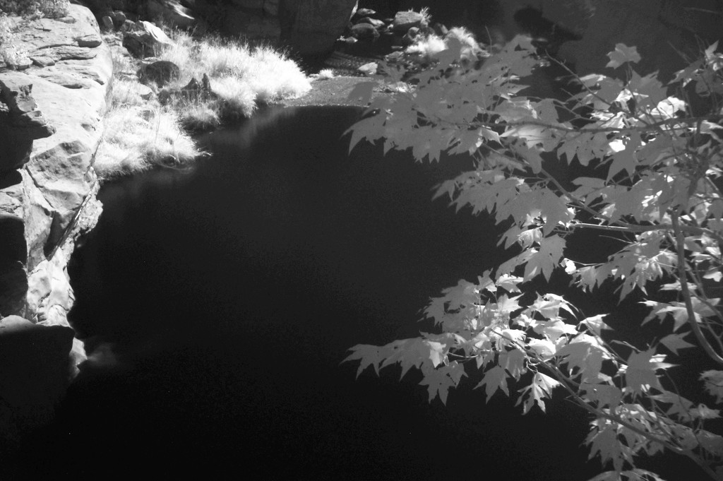 Oak Creek in infrared by joysabin