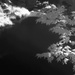 Oak Creek in infrared by joysabin