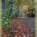 manse drive leaf fall by sarah19