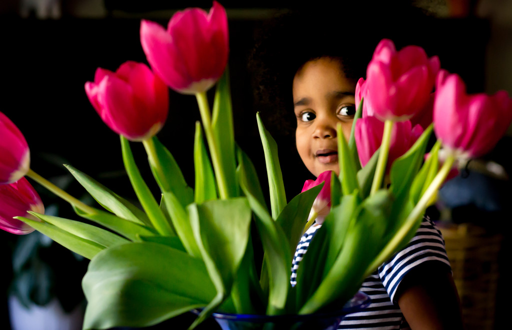 Toddler and Tulips by cjoye