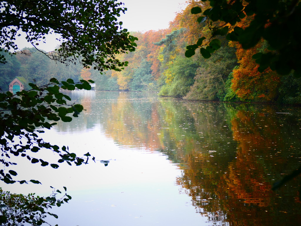 Autumnal Hartsholme by carole_sandford