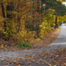 Walking the Road in Fall by selkie