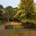 Autumn Bandstand by gillian1912