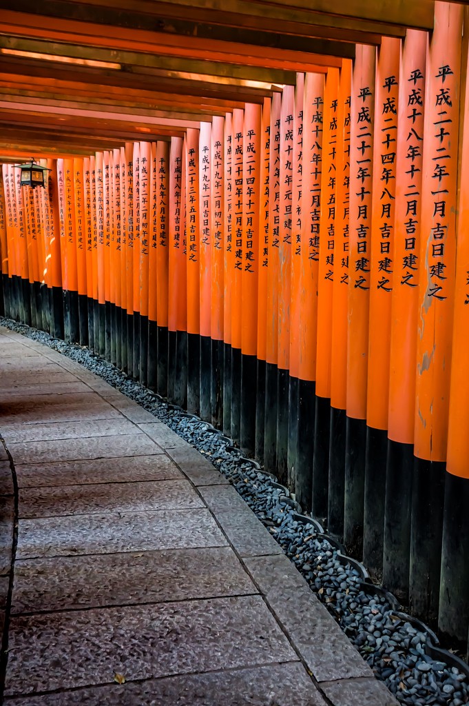 Gates at the Fushimi Inari Taisha shrine by cristinaledesma33