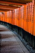 4th Nov 2016 - Gates at the Fushimi Inari Taisha shrine