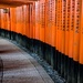 Gates at the Fushimi Inari Taisha shrine by cristinaledesma33