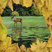 Autumn Deer Filler by tonygig