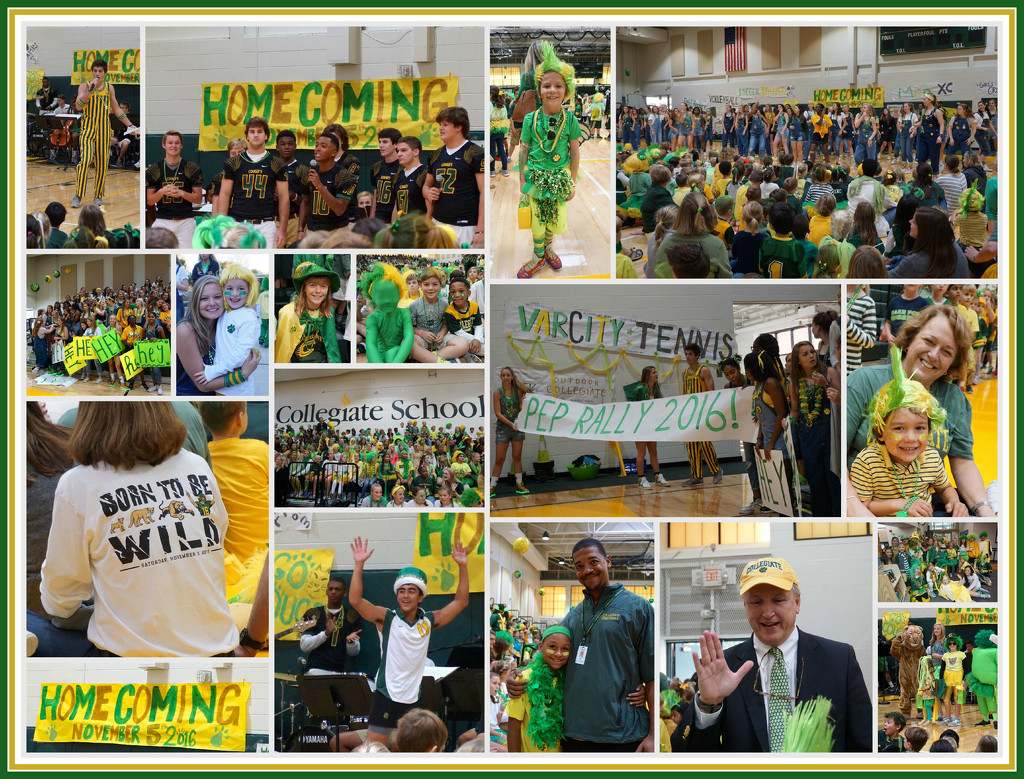 Pep Rally 2016 by allie912