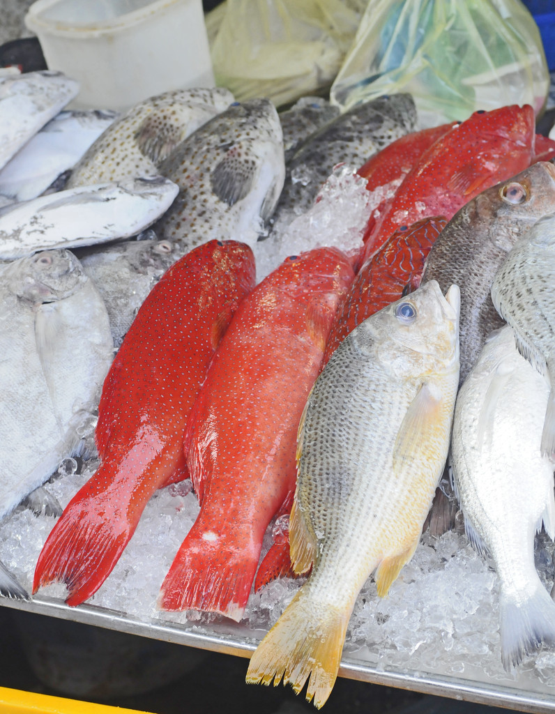 Fresh Fish at Market by ianjb21