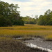 Tidal creek and salt marsh, Charles Towne Landing, Charleston, SC by congaree