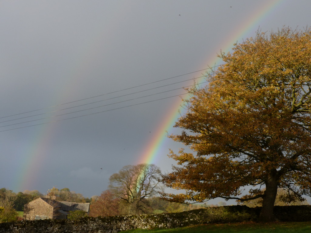 Autumn rainbow by shirleybankfarm