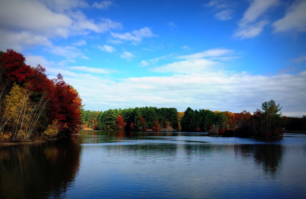 Day 66: Beautiful Fall Day by sheilalorson