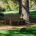 Garden Bench by farmreporter