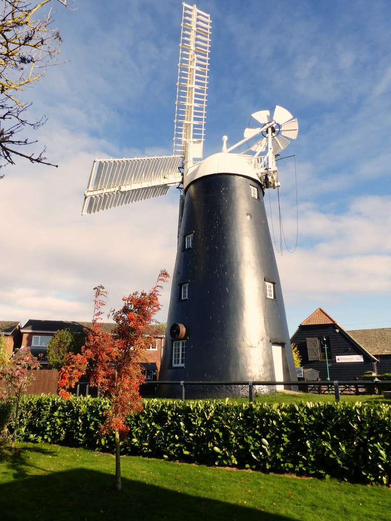 Autumn Windmill by g3xbm