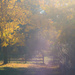 autumn light by northy