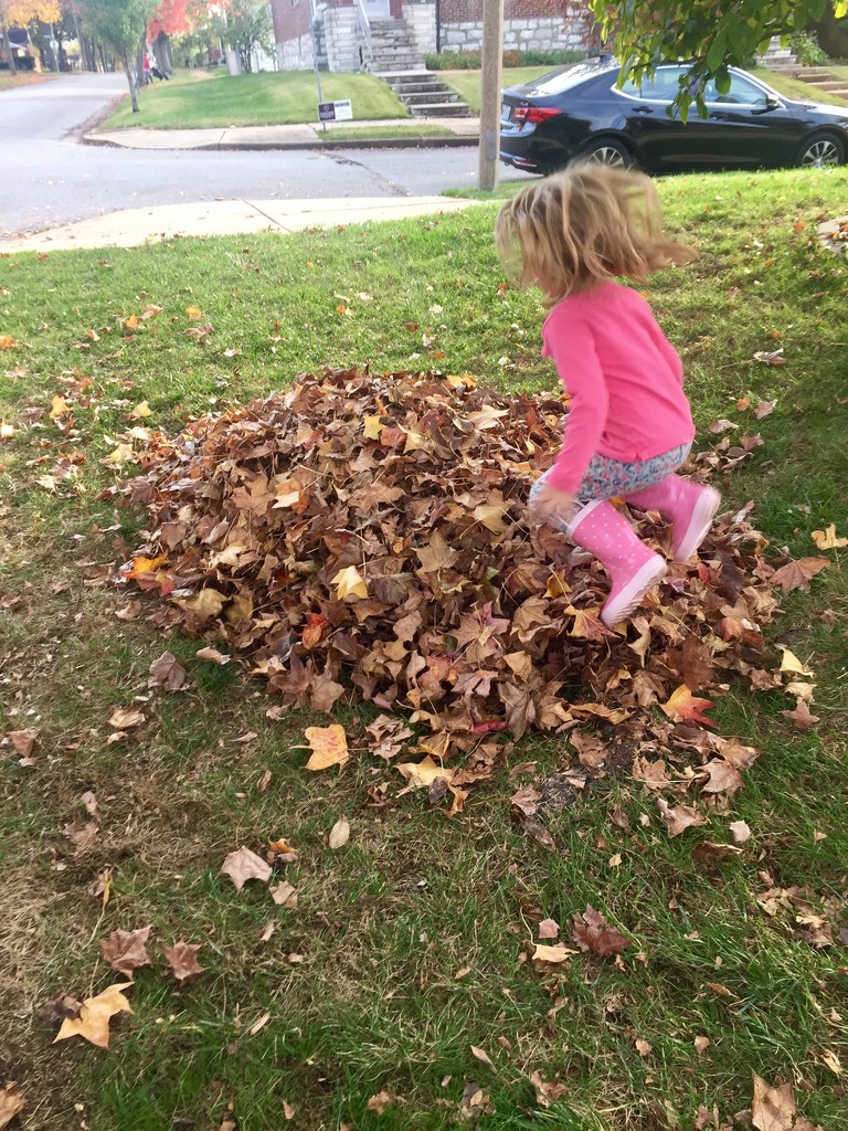 You see a pile of leaves, you jump in it by mdoelger